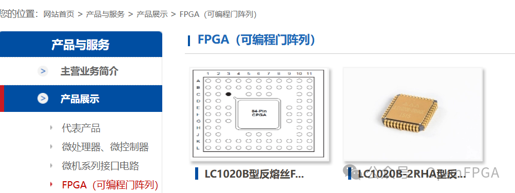 技术FP是什么意思_FPGA技术_技术的英文