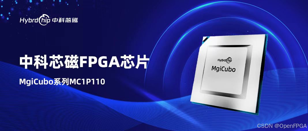 FPGA技术_技术FP是什么意思_技术的英文