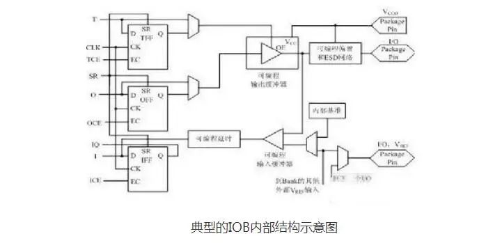 基础医学是干什么的_基础代谢率的正常范围_fpga基础