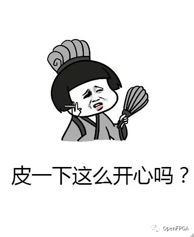 FPGA开发_开发FPGA_开发fpga用什么语言