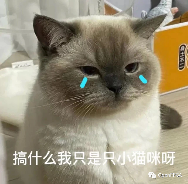 FPGA开发_开发fpga用什么语言_开发FPGA