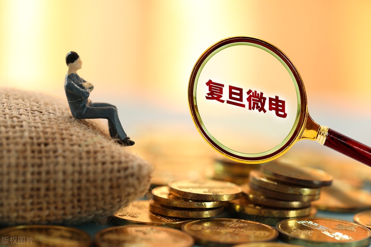 FPGA芯片上市公司对比_FPGA芯片介绍_FPGA技术