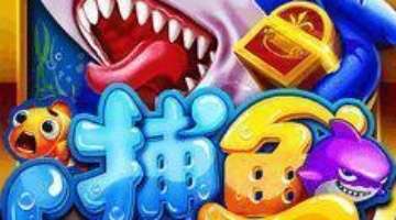 FPGA开发_LatticeFPGA解决方案开发服务_FPGA与Lattice技术软硬件协同设计