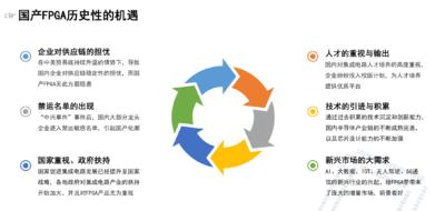 国产FPGA市场机遇与挑战_FPGA基础知识_FPGA中国芯发展现状